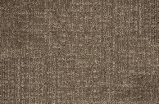 Alistair Solution Dyed Polyes Putty 63946 Carpet ALSTA Loop 1