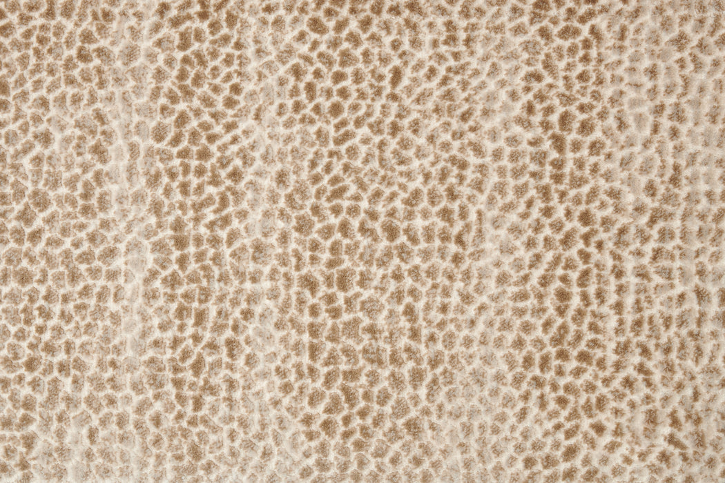 Allegory Polypropylene & Polysilk Dune 98702 Carpet Textured 1