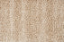 Allegory Polypropylene & Polysilk Dune 98702 Carpet Textured 1