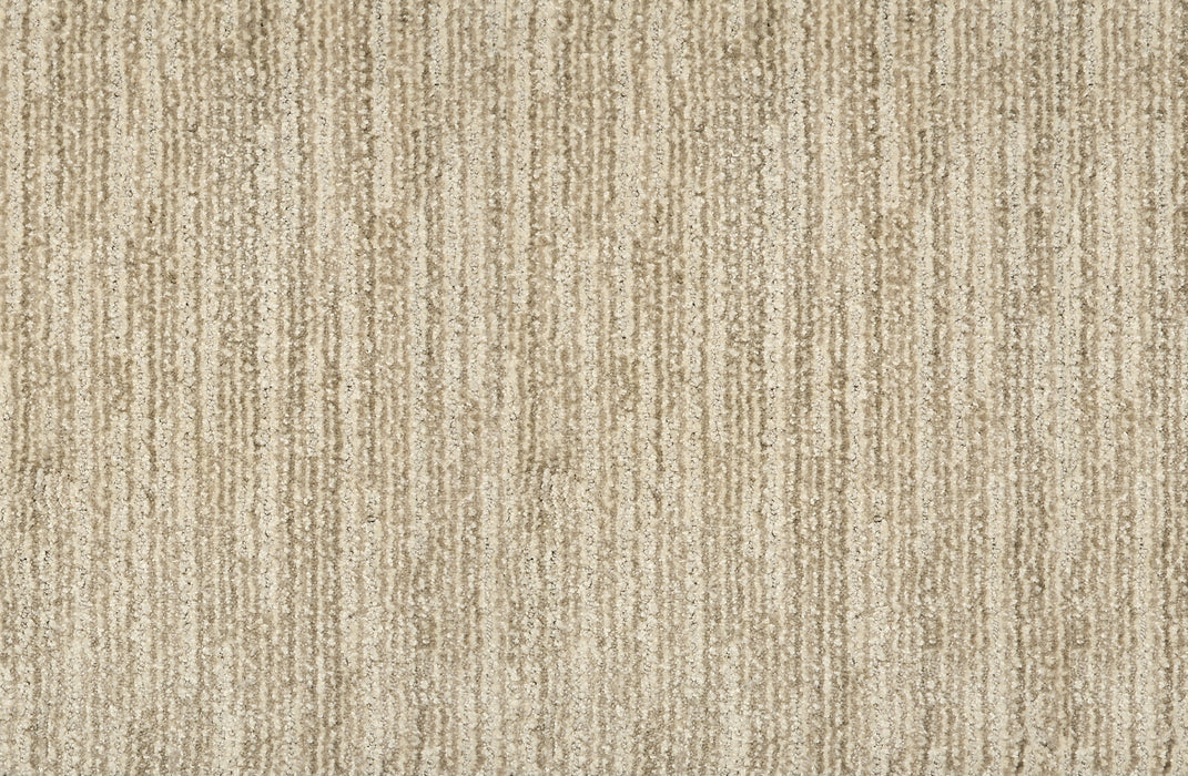 Ambrose Polyester Dove 11524 Carpet Textured 1