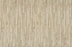 Ambrose Polyester Dove 11524 Carpet Textured 1