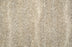 Amur Polyester Champagne 13911 Carpet Textured 1