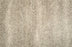 Amur Polyester Oyster 13912 Carpet Textured 1