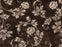 Arabesque Polypropylene Earth 75594 Carpet Textured 1