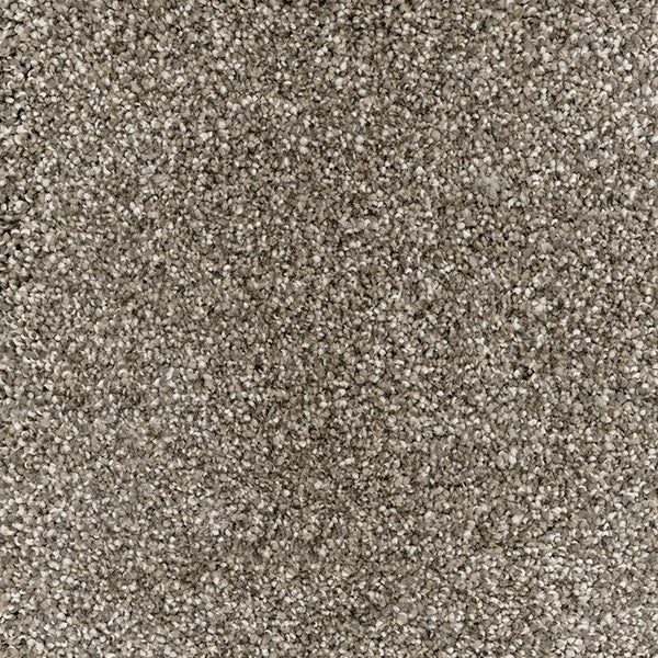 Astonishing Virtual Taupe