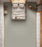 Astro Polyester Chestnut 4659 Carpet Loop 2