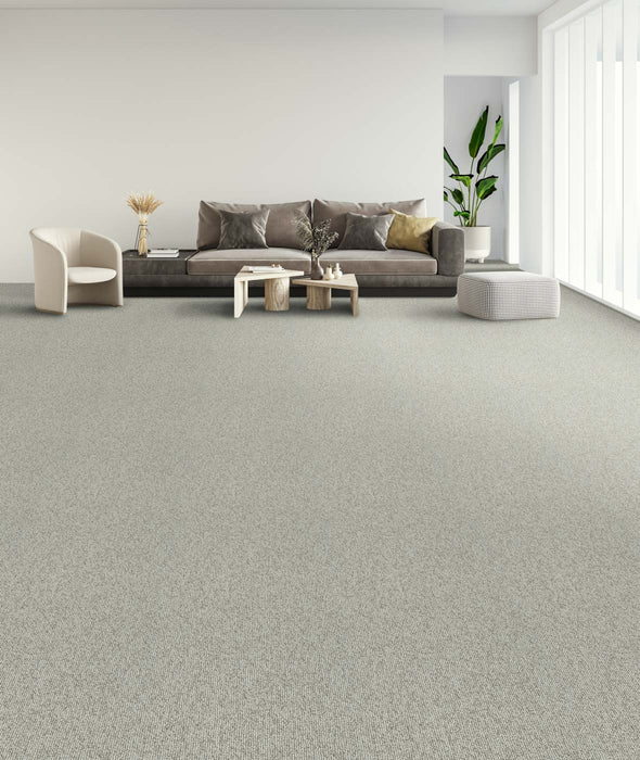 Astro Polyester Cashmere 4663 Carpet Loop 2