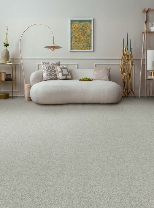 Astro Polyester Goose Down 4665 Carpet Loop 2