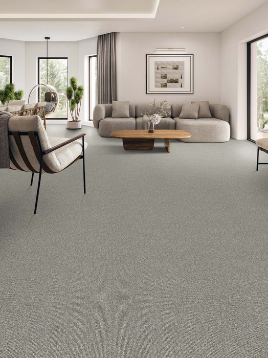 Astro Polyester Cocoa 4727 Carpet Loop 2