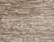 Atwater Polypropylene & Polysilk Desert 32203 Carpet Textured 1