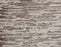 Atwater Polypropylene & Polysilk Ecru 32202 Carpet Textured 1