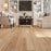 Vinyl Dylan Luxury Vinyl Plank Embossed 2