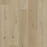 Authentic Prime Vinyl Anderson Oak Vinyl Plank Embossed 1