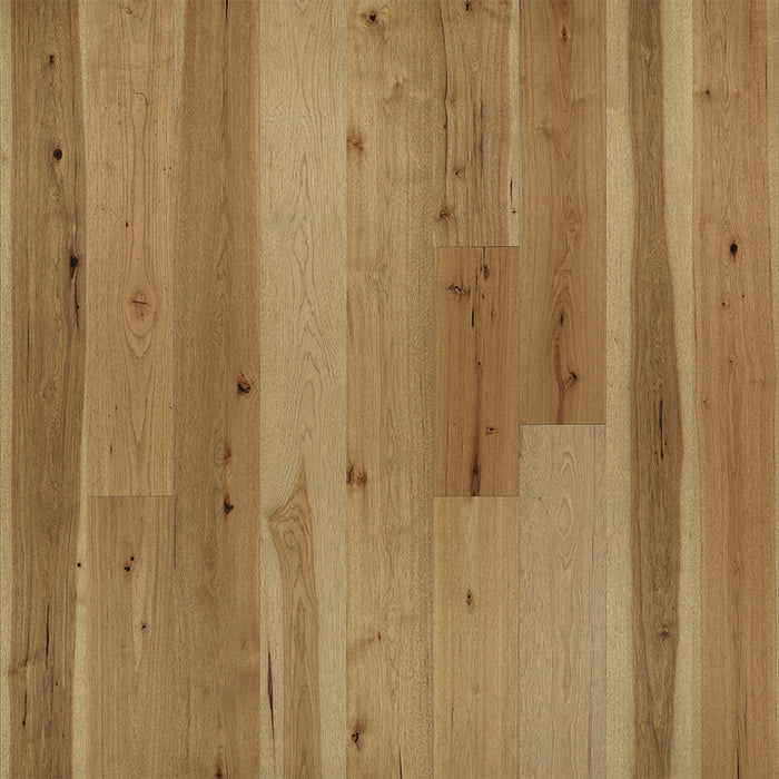 Hickory Hardwood Belle Meade Engineered Hardwood TrueMark Glaze Tek 1