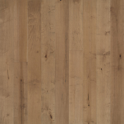 Maple Hardwood Pennsylvania Engineered Hardwood TrueMark Glaze Tek 1