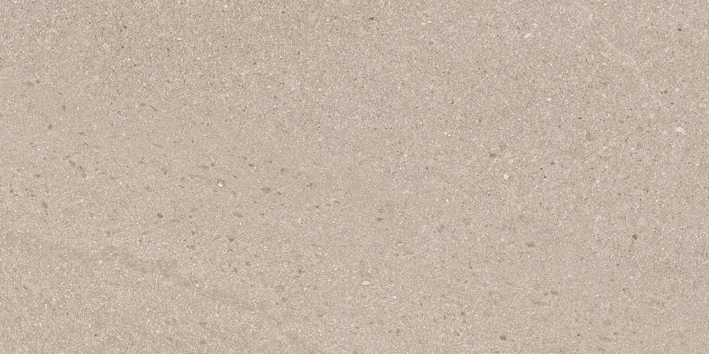 Full Tile Sample - Baltic Taupe Porcelain Tile - 24" x 48" x 3/8" Antique