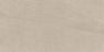 Full Tile Sample - Baltic Taupe Porcelain Tile - 24" x 48" x 3/8" Honed