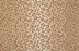 Bargello Wool Blend Bronze 88581 Carpet Pattern 1