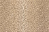 Bargello Wool Blend Khaki 88584 Carpet Pattern 1