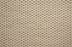 Bayside Polypropylene Platinum 31693 Carpet Pattern 1