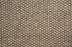 Bayside Polypropylene Quartz 31696 Carpet Pattern 1