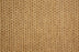 Bayside Polypropylene Saddle 31691 Carpet Pattern 1