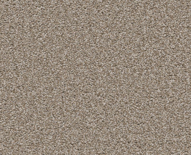 Trusolutions III Beach Cabana Polyester Carpet - Textured