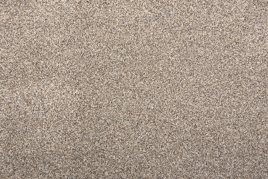 Beech Hill Polyester Earth 31154 Carpet Pattern 1