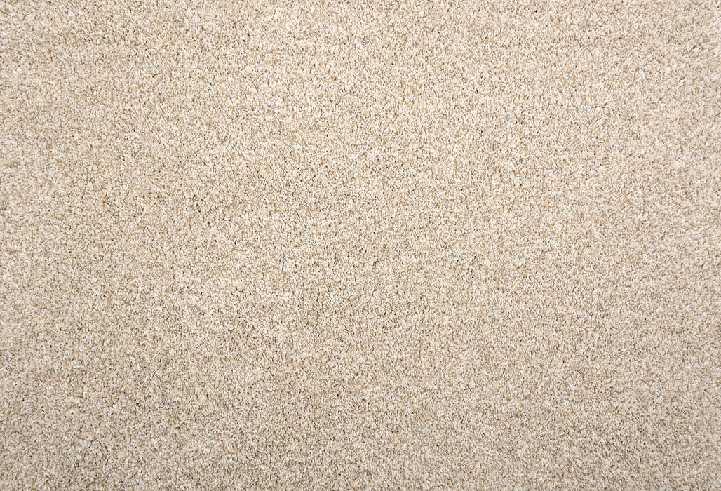 Beech Hill Polyester Sand 31153 Carpet Pattern 1