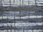 Belladonna Polypropylene & Polysilk Ocean 95206 Carpet Pattern 1
