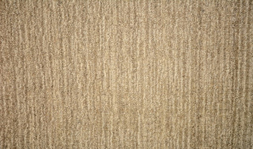 Birchwood Wool Shale SHALE Carpet Textured 1