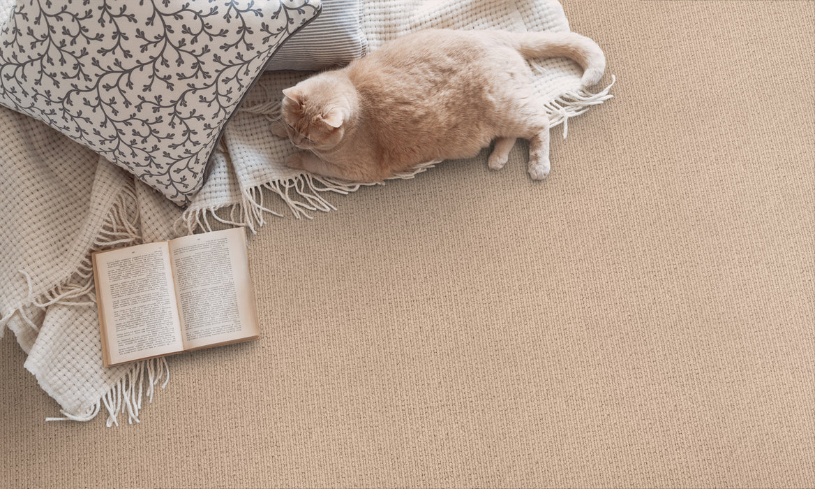 Bisbee Wool Almond 25261 Carpet Textured 3