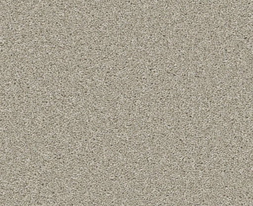 Trusolutions III Bleached Oak Polyester Carpet - Textured