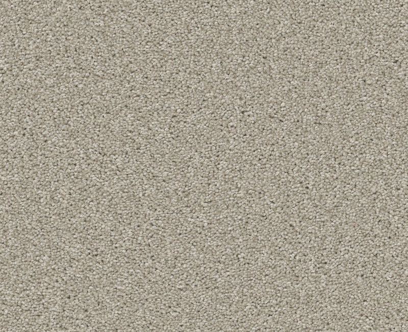 Trusolutions III Bleached Oak Polyester Carpet - Textured