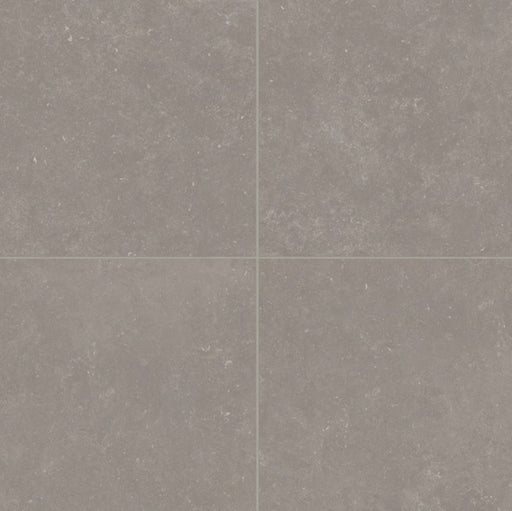 Bluerun Porcelain Atlas Gray ATG Tile Matte 1