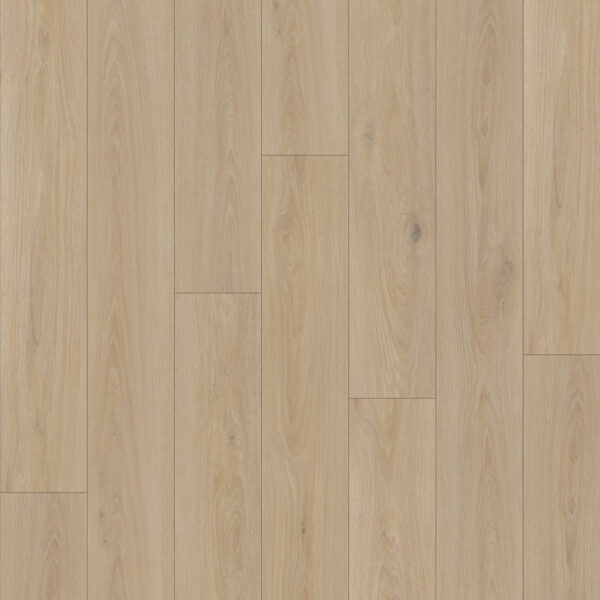 Boundless SPC Vinyl Driftwood Vinyl Plank Textured 1