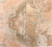Full Tile Sample - Breccia Oniciata Marble Tile - 24" x 24" x 5/8" Honed