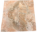 Full Tile Sample - Breccia Oniciata Marble Tile - 18" x 18" x 3/8" Honed