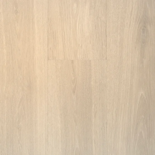 Nuvo Lux 8 Brentwood Wood Oyster Shell 90142
