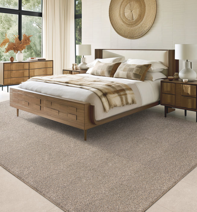 Brighton Polyester Earth 31184 Carpet Textured 2