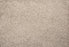 Brighton Polyester Fawn 31183 Carpet Textured 1