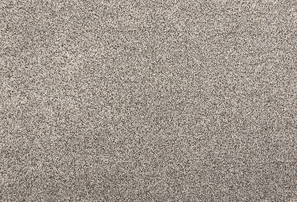 Brighton Polyester Metal 31186 Carpet Textured 1