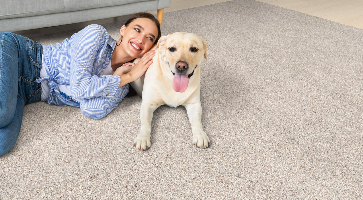 Brighton Polyester Pebble 31181 Carpet Textured 2