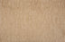 Britannia Solution Dyed Polyes Toffee 54281 Carpet BRITN Pattern 1