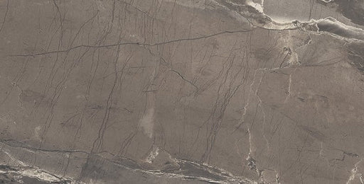 Absolute Brown Porcelain Tile - Matte