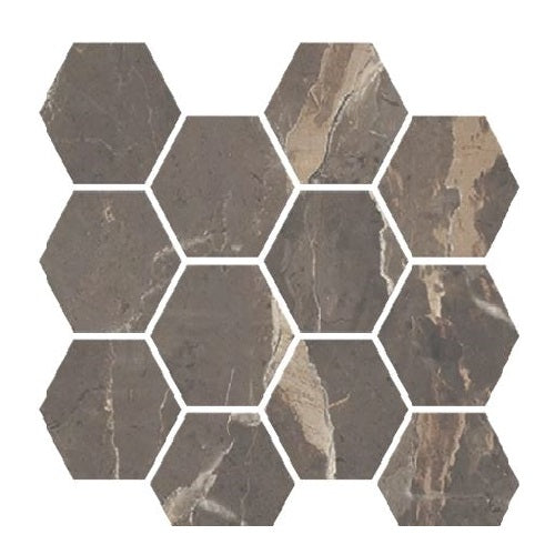 Absolute Brown 1101835