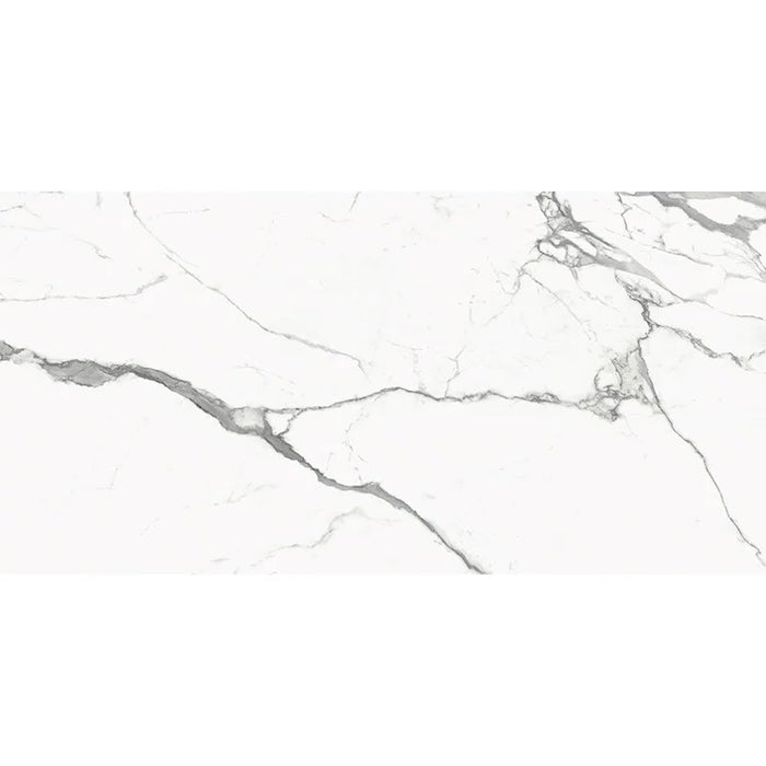 Classico Porcelain Statuario Tile Matte 7