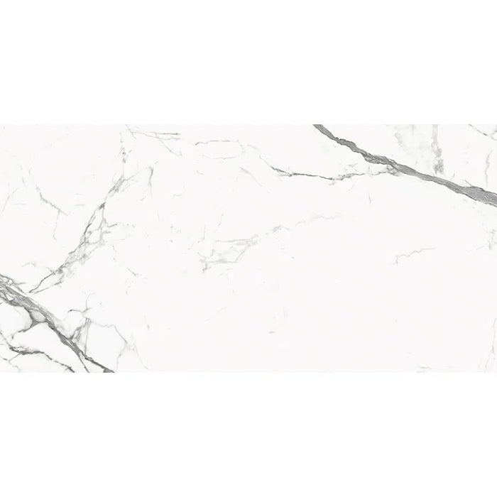Classico Porcelain Statuario Tile Matte 8