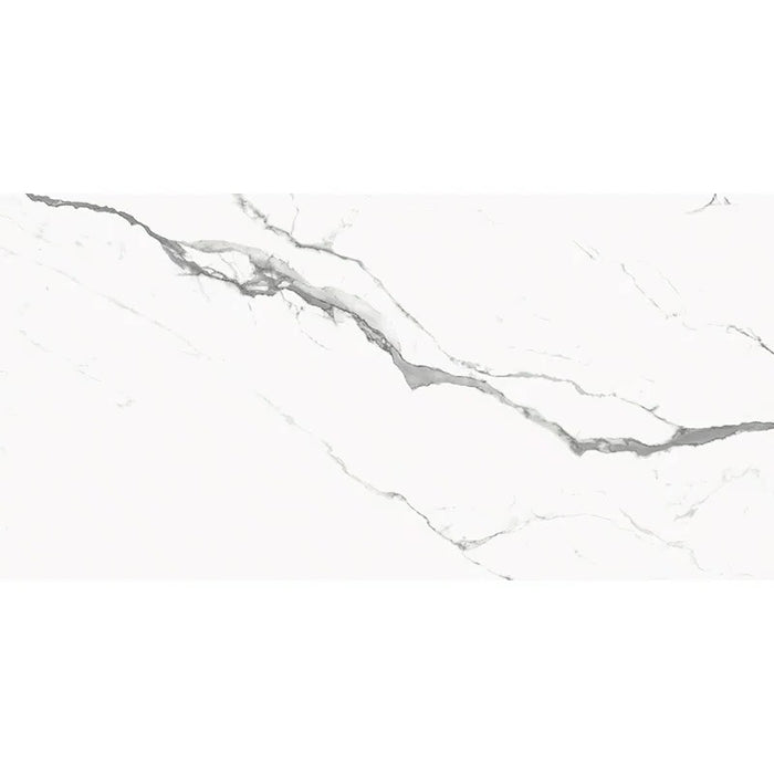 Classico Porcelain Statuario Tile Matte 11
