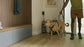 COREtec Originals Classics Vinyl Dawson Maple Vinyl Plank UV Acrylic 3